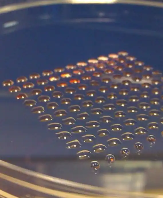 Micro-droplet bioprinting of cell-laden bioinks for tissue engineering