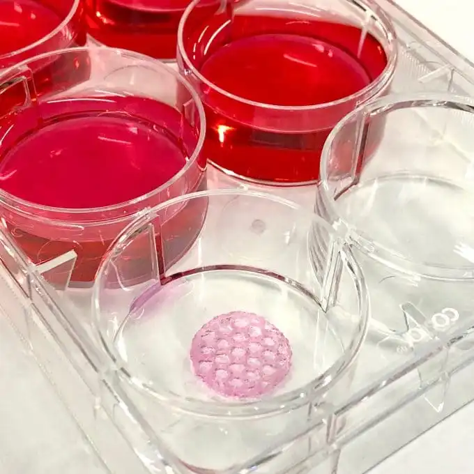 Bio 3D printer creating lattice structures for tissue engineering applications
