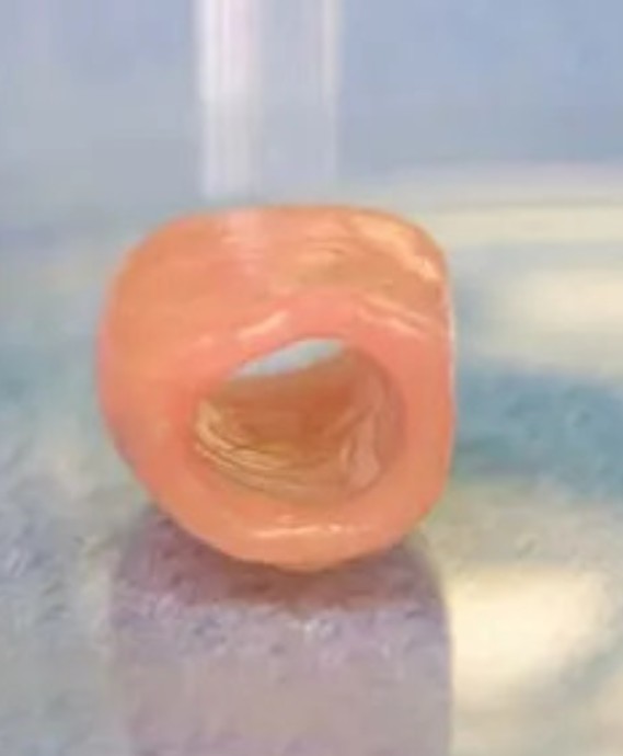 Bio ATOM Bio 3D Printer