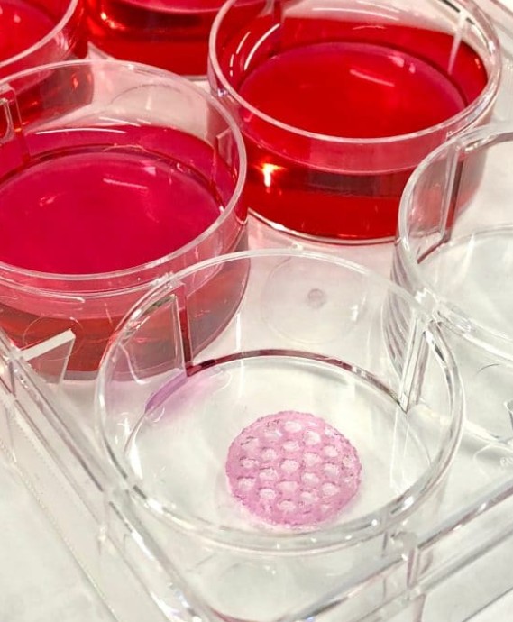 Bio ATOM Bio 3D Printer