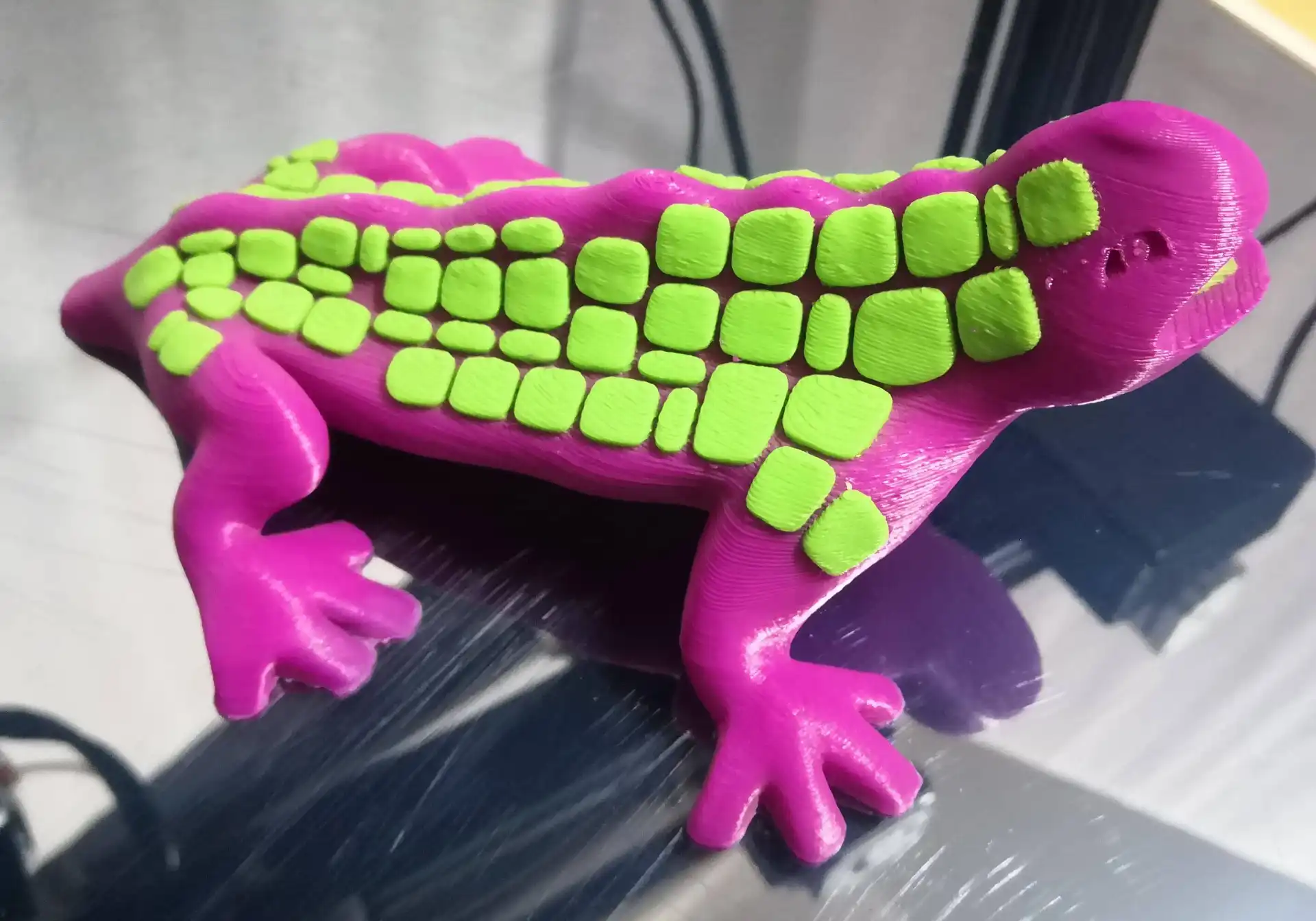 Dual color frog print with DP300