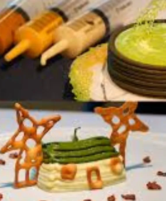 'food 3D printing process layer by layer