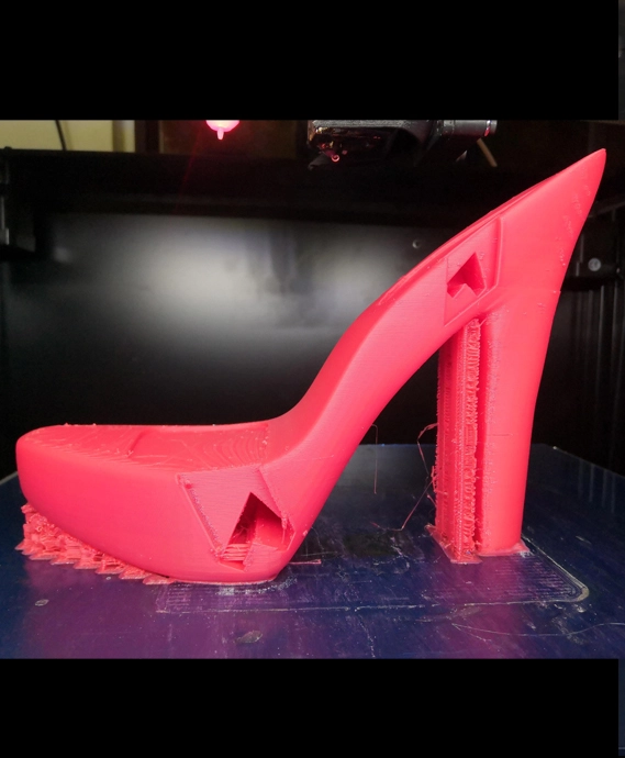  Thunder Pro 3D printer petg shoe