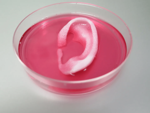 Bio 3D printing of Human Organs